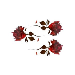Nouveaux autocollants de tatouage temporaire for femmes couleur rouge Rose Tatoo fleur fleur tout nouveau autocollant de tatouage temporaire imperméable Tatoo filles Tatto femmes faux tatouages ​​dure (FJJBMSSCED-US, neuf)