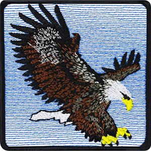 &Eacute;cusson Thermocollant Aigle | Patch brod&eacute; | Patch r&eacute;sistant aux intemp&eacute;ries | Insigne de chasseur | Amis de la nature | Patch aigle &agrave; coudre/&agrave; repasser | 70x70mm (EXPRESS-STICKEREI, neuf)