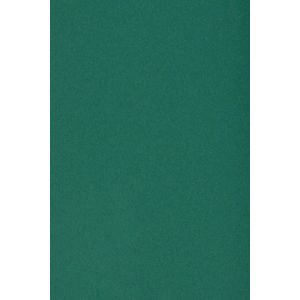 Netuno 10x carton vert fonc&eacute; 250g papier d&eacute;coratif A5 148,5x210mm Burano English Green id&eacute;al pour cartes de voeux scrapbooking bricolage invitations art et artisanat anniversaire DIY loisirs cr&eacute;atifs (netuno, neuf)