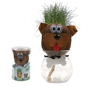 T&ecirc;te de Chien - Herbe &agrave; Pousser (Tabac du Bassigny, neuf)