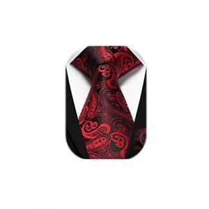 HISDERN Cravate Rouge Noir Homme Paisley Mariage Cravates et Pochette Set Floral Ensemble (hisdern, neuf)