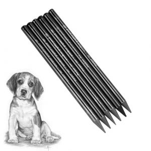 Lot de 6 crayons graphite noirs sans bois Duret&eacute; totale HB 2B 4B 6B 8B EE Fournitures scolaires crayon fusain pour croquis dessin ombrage crayons &agrave; charbon pour professionnels artistes etudiants (Trusted- Direct, neuf)