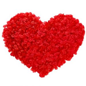 Lafefe Lot de 1200 p&eacute;tales de Rose artificiels jetables pour Mariage, Saint-Valentin, Anniversaire, Centre de Table - Rouge (LouER Store, neuf)