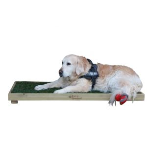 PetGround, Lit pour Chien, Gazon 100% Naturel, Caisse en Bois, Ecologique, Inodore, Réutilisable, XL (120x40cm) (PetGround, neuf)