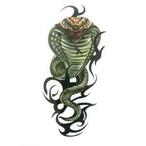 Dragon faux tatouages ​​pour hommes femmes géométrique loup tatouage autocollant feu vert serpent feuilles de tatouage corps bras main tatouage autocollant (19 * 12 cm)(001) (CAOHCTTDDHJ, neuf)