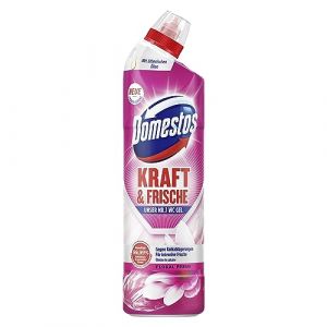 Domestos Kraft & Frische Gel WC Floral Fresh Nettoyant avec parfum floral frais pour une propret&eacute; hygi&eacute;nique 750 ml 1 pi&egrave;ce (MaguyStore, neuf)