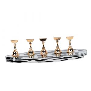 BATHVEVE Pr&eacute;sentoir Nail Art 5 Pi&egrave;ces Petit Format Motif Vache En Acrylique Dor&eacute; Support D&rsquo;entra&icirc;nement Manucure Pour D&eacute;butants Usage Professionnel (MINAMYIO, neuf)