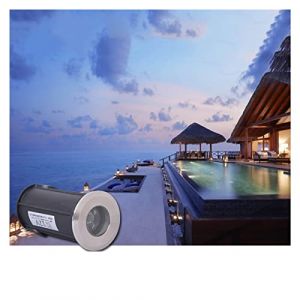 LSSHQ Spot Led Piscine Encastrable IP68 Spot Led pour Terrasse Angle de Faisceau de 30&deg; Eclairage Petit Bassin Pour Immerg&eacute;, de Jardin, D'ext&eacute;rieur (Couleur : Blanc chaud, Taille : 42mm-1w(12V)) (AMZFR（品牌已备案）, neuf)