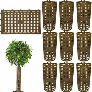Lot de 10 protections extensibles pour tronc d'arbre - Protection contre les morsures sauvages et la tonte - Protection de tronc d'arbre, grille de protection en plastique pour emp&ecirc;cher les animaux de (Antiyou, neuf)