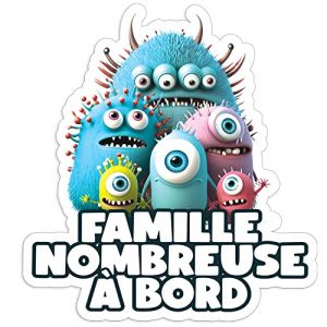 Autocollant voiture famille nombreuse a bord 14x15cm vinyle haute qualité, bébé à bord, autocollant voiture, fun et moderne, 100% français (Hellocom34, neuf)
