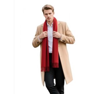 LA Ferani &Eacute;charpe pour homme en cachemire &eacute;l&eacute;gante pour l'automne et l'hiver, fine 185x65, &eacute;l&eacute;gante pour les occasions formelles, &eacute;charpe en cachemire &eacute;l&eacute;gante et souple, &eacute;charpe en laine, laine uni (LA FERANI, neuf)