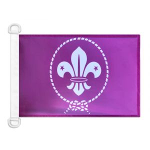 AZ FLAG - Drapeau Scouts Violet - 45x30 cm - Pavillon Nautique Du Scoutisme Spécial Bateau Et Extérieur En Maille Bloquée Avec Anneaux Plastiques Intégrés - 30g (AZ-FLAG, neuf)