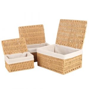 Aevcvok Lot de 3 Panier Rangement avec Couvercles, Panier Osier Empilable, Panier Rangement Salle de Bain Paniers pour Etagères Corbeille Rangement pour Salle de Bain, Salon, Cuisine (Avokuya, neuf)