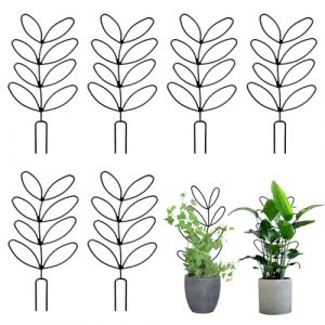 Lot de 6 tuteurs pour plantes grimpantes pour plantes d'int&eacute;rieur Monstera fleurs et plantes Hoya Jardin (LANJISEN, neuf)