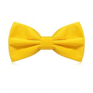 MAIANY NœUds Papillon Homme, Avec Gancio RéGlable, NœUd Papillon Classique Pré- Noué Pour Costume, IdéAl Pour Les Mariages Pour Hommes, NœUd Papillon Pour Dames (Jaune) (MAIANY, neuf)