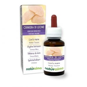 Hydne hérisson ou Crinière de lion (Hericium erinaceus) champignon Teinture Mère sans alcool Naturalma - Extrait liquide gouttes 60 ml - Complément alimentaire - Végétalien ou végan (NATURALMA, neuf)