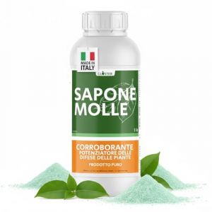 CLOSTER Savon Potassique Pur Pour Plantes (1 LT) - Anti Acariens Anti Cochenille Anti Pucerons et Araigne&eacute; Rouge - Protection Naturelle du Jardin Contre Insectes et Parasites - V&eacute;g&eacute;tal et &Eacute;cologique (bio A.L.T., neuf)
