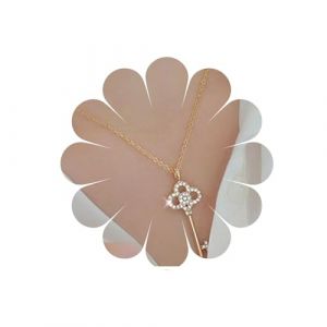 Allereya Cristal Cl&eacute; Pendentif Collier Or Strass Cl&eacute; Ras du Cou Collier Minimal Cl&eacute; Cha&icirc;ne Collier Tous Les Jours Bijoux pour Femmes et Filles (Or) (AIIereya, neuf)