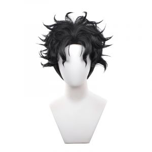 CGVG Perruque de cosplay d'anime pour homme et femme - Pour Halloween, carnaval, jeu de r&ocirc;le, f&ecirc;te, concert, mariage, performance de No&euml;l (Ken Takakura) (PARTYISLAND TRADE LTD, neuf)