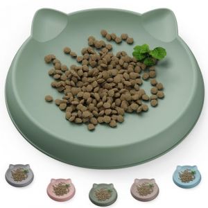 Wingcases Gamelle pour chat (1 pièce, 15 x 15 cm, vert clair) | Gamelle en silicone pour chat | Protection des poils de barbe | Gamelle plate pour chat | Assiette large | Accessoires pour chat (Wingcase, neuf)