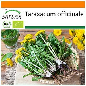 SAFLAX - BIO - Pissenlit - 400 graines - Taraxacum officinale (SAFLAX, neuf)