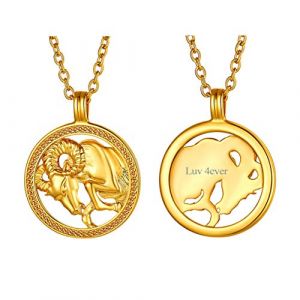 FindChic Collier Signe Astrologique Belier Graver Pendentif Femme Constellation Horoscope Or Plaque Dore Acier Inoxydable Médaillon 46 cm Bijou Cadeau Petite Amie Soeur (FindChic Jewellery, neuf)