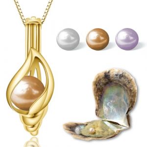 Wunschperlen Ensemble de Collier Femme - Collier de Coquillage en Argent et Coquillage avec Perle - Cha&icirc;ne en Argent 925 Femme avec Pendentif et Vraie Perle dans Coquillage - Ensemble de Bijoux en (WunschperlenDE, neuf)