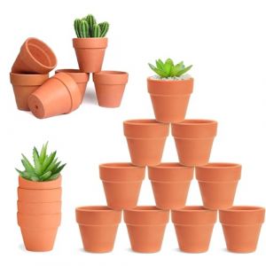 HDKAJL 30 Terre Cuite Mini Pots de Plante/de Fleurs/de Poterie en Argile, en Céramique avec Trou de Vidange, pour Cactus Intérieur Extérieur Plantes Maison Succulentes (KLKJQ, neuf)