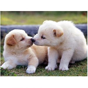 Kit de peinture diamant 5D diy carré carre chien 40x30cm broderie strass point de croix images peinture par numéros kit de bricolage puzzle diamant tableau perle diamant a coller adultes et enfants (BEIMIN, neuf)