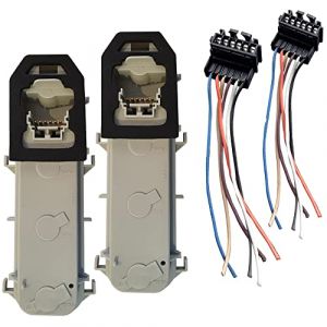 (Lot de 2) Prise R&eacute;paration Faisceau Connectique avec Fiche Electrique + Platine pour Feux Arri&egrave;re Gauche ET Droit compatible avec CLIO II Phase 2 de 2001 &agrave; 2006 (Odocar, neuf)