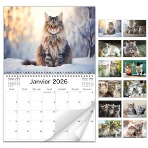 AEYAKA Calendrier Mural Chats 2026 &ndash; Calendrier Mensuel avec Photos de Chats, Format Mural A3, Organiseur Familial et de Bureau, Cadeau Parfait pour les Amoureux Fran&ccedil;ais (Jintuo-EU, neuf)