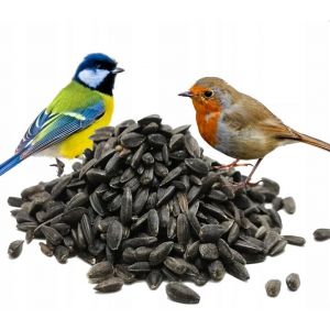 Green Hobby Graines de tournesol noires - 10 kg - Nourriture pour oiseaux (Green Hobby, neuf)