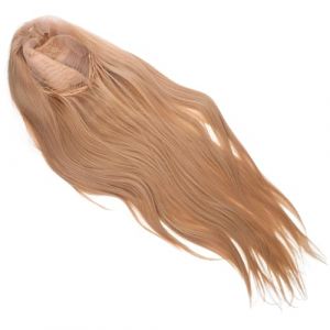 ABOOFAN Perruque Dentelle Lisse pour Femmes Cheveux Longs et Synth&eacute;tiques pour Cosplay et Halloween (Halleyham, neuf)