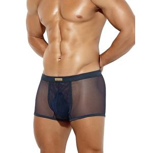 Casey Kevin Boxer Homme Sexy Transparent Culotte, Lingerie Sexy Homme Mesh sous-vêtements (Casey-Kevin, neuf)
