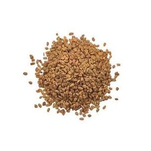 50g Graines de Fenugrec Enti&egrave;res &ndash; Digestion, Vitalit&eacute;, Cuisine & Soins | Trigonella foenum-graecum | 100% Naturel, Pur et Sans Additifs | Qualit&eacute; Sup&eacute;rieure - TazarinLtd (TazarinLTD, neuf)