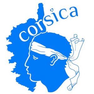 Sticker Corse, Stickers Auto Corsica, Autocollant Tete de Maure, Vinyle haute performance pour Voiture (21 x 24 cm, bleu electrique) (tmz-creation, neuf)