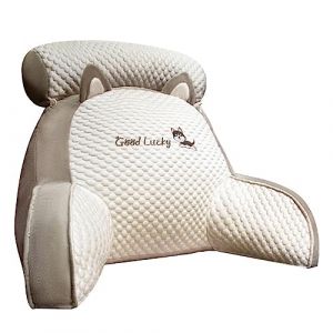BaoT8YLu Oreiller de Lecture de lit, Repose-Dos 2 en 1 pour s'asseoir dans Le lit, Oreiller de canapé Multifonctionnel avec accoudoirs, Confort Et Ergonomie Coussin Cale Dos Canapé pour Lit Fauteuil (baihuo百货品牌店-1, neuf)