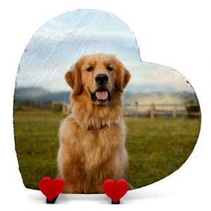 AIGAT Plaque Commémorative Personnalisée en Forme De Coeur 25 X 25 cm avec Support en Forme De Coeur pour Chat, Chien, Ardoise, Pierre, Patte, Pierre Tombale - Photo Complète Côté (AIGAT, neuf)