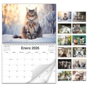 AEYAKA Calendrier Mural Chats 2026 &ndash; Calendrier Mensuel avec Photos de Chats, Format Mural A3, Organiseur Familial et de Bureau, Cadeau Parfait pour les Amoureux Espagnol (Jintuo-EU, neuf)