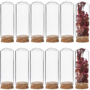 SUNNYCLUE 12 mini Cloche Dôme de 30x80 m avec Base en Liège, Couvercle en Forme de Dôme en Verre de 40 ml, Mini Dôme en Verre, Cloche, Flacon Décoratif pour le Stockage de Fleurs, Décoration de Fête d (SUNNYCLUE  FR, neuf)
