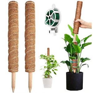 YAUNGEL Tuteur Plante, 2 Pi&egrave;ces 41CM Support Plante Grimpante Tuteur Coco pour Plante Monstera Maison Jardin avec Twist 20 Meter pour Soutenir Les Plantes (Greencao, neuf)