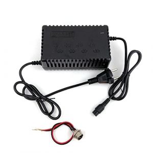 24V 36V Chargeur de Batterie au Plomb scellé Courant de Charge 1.8A pour Batterie de Scooter de vélo électrique SLA (24V Charger and Port) (L-faster, neuf)