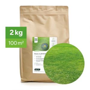 Repair & Restore : Semences de gazon de regarnissage - 2 kg pour 100 m² - Germination rapide - Gazon dense et vert - Idéal pour pelouses et terrains de sport (MRS Seeds & Mixtures, neuf)