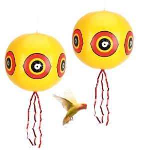 Norhogo Lot de 2 Ballons &eacute;pouvantail sans Oiseaux, Ballon Anti-Oiseaux avec Yeux, Ballons Repulsif pour Oiseaux, Chasse Pigeons, Anti-Pigeons, r&eacute;pulsif Pigeons, bornes pour Pigeons avec Corde, Jaune (Norhogo Direct, neuf)