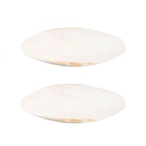 Os de Seiche | 2 Pi&egrave;ces Pierre &agrave; Bec Oiseau - 15-20 cm Pierre &agrave; Ronger Cage pour Reptiles Perruches Canaris Perroquets (PNKshop, neuf)