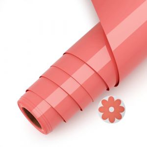 Asoway Flex Thermocollant Orange Rose Pour Tissu, 3d Puff Vinyle Thermocollant 25 X 244cm HTV Rouleau pour pour T-Shirts, V&ecirc;tements Sacs, Cadeaux de Bricolage, Effet de motif tridimensionnel (LZS Commerce international, neuf)