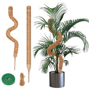 Yeecka Tuteur Plante Grimpante, 2x60cm Grimpante Coco Fibre Support Fait Main, Tuteur Plante Pliable avec Corde de Jute et Fermeture Autoagrippante, pour Plantes Grimpantes Qui Poussent vers Le Haut (GOLDENORCHID HILLTEMPLE Kft., neuf)