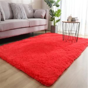 Tapis de Salon Chambre Adulte, Tapis Doux et Moelleux Chambre, Tapis Lavable en Machine, Antid&eacute;rapant Tapis Chambre Adulte, pour Salon, Chambre &agrave; Coucher, Couloir, Descente de Lit(G,40 x 60 cm) (YangShePeng-shop, neuf)