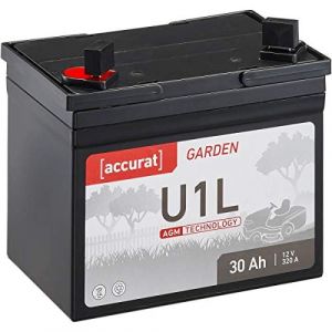 Accurat Garden Batterie AGM pour Tracteur de gazon, Tondeuse, Batterie de démarrage pour tondeuse autoportée sans entretien (TN3888) (autobatterienbilliger, neuf)
