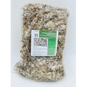 Sphaigne de Madagascar 350GR - substrat végétal pour Cultures Hors-Sol (350gr) (MAPI-FRANCE, neuf)